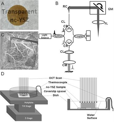 Group Refractive Index of Nanocrystalline Yttria-Stabilized Zirconia Transparent Cranial Implants